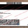 alabama drivers license back