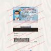 alabama driver license template free