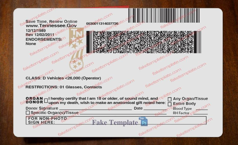 back of tennessee drivers license back-of-tennessee-drivers-license-04