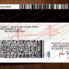 california driver license back
