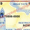 free louisiana drivers license template