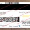 louisiana drivers license back