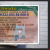 florida-driver-license-template-02