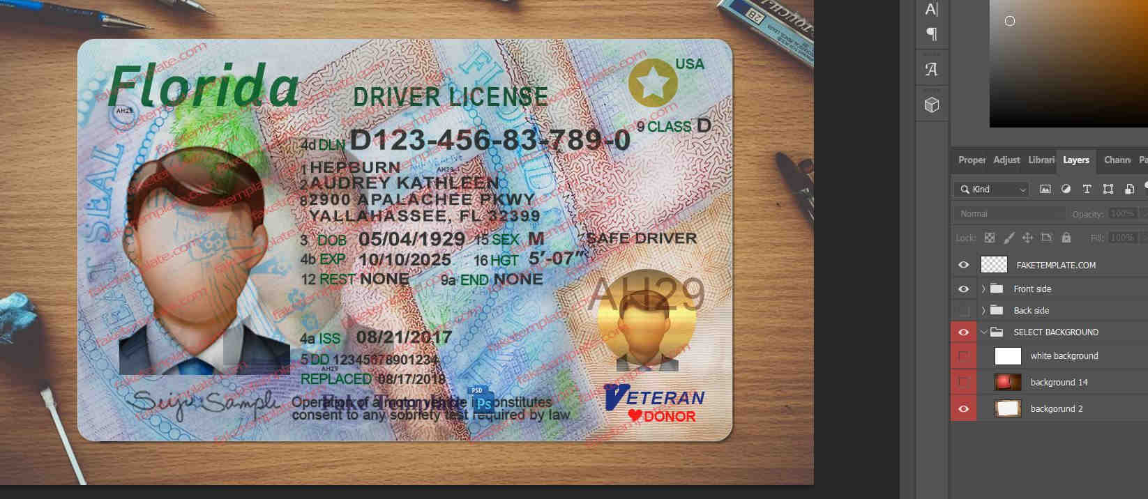 florida-drivers-license-template-02 florida-drivers-license-template-02