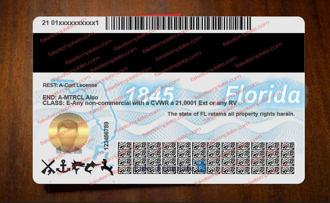 florida-drivers-license-back-01 florida-drivers-license-back-01