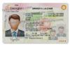 georgia-driver-license-template-01