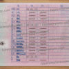 germany-driver-license-back-03