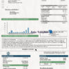 idaho-utility-bill-psd-template-01