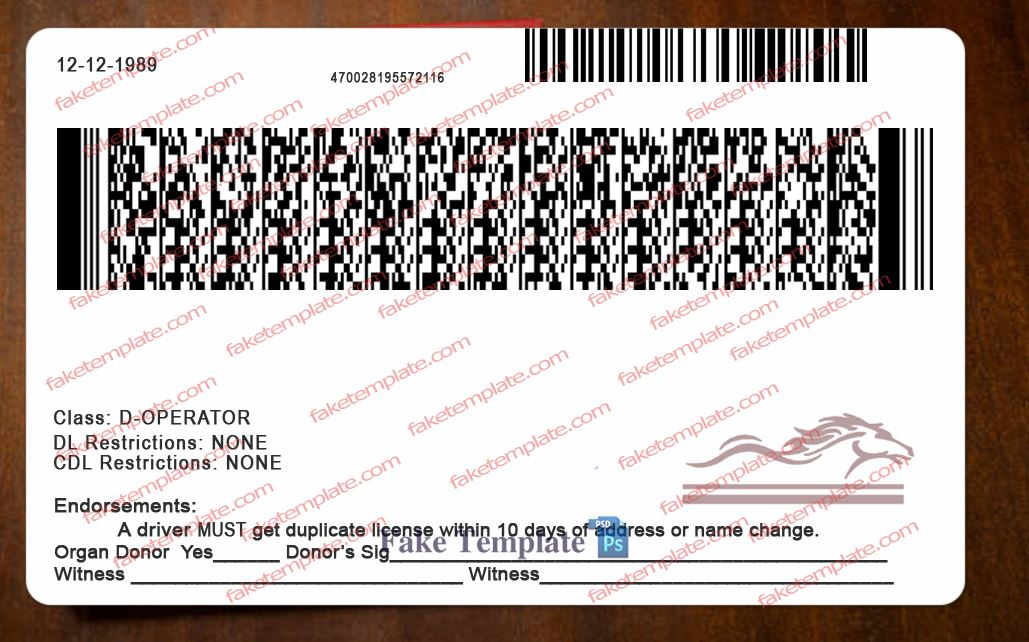 back of kentucky driver's license kentucky-drivers-license-back-03