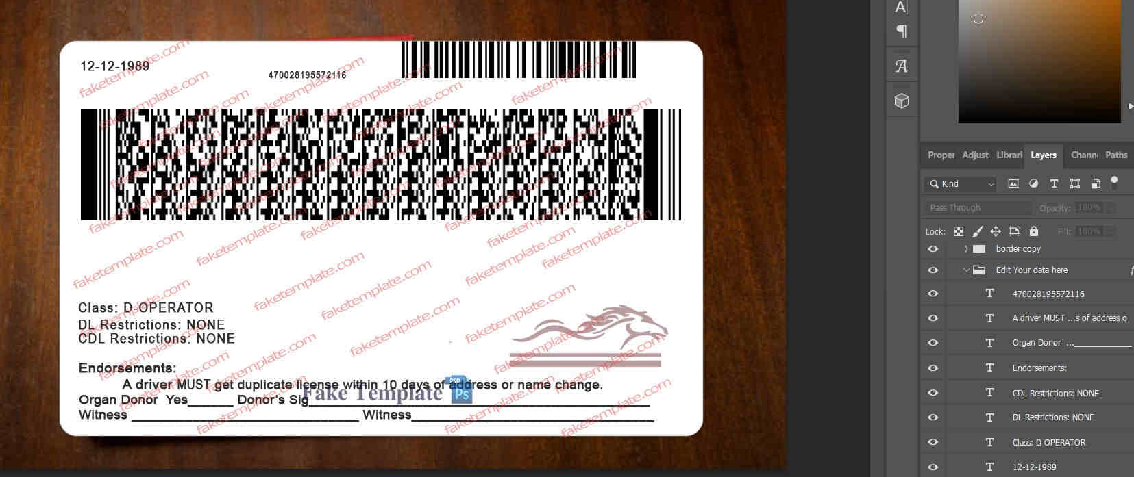 kentucky-drivers-license-back-04