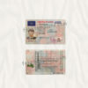 latvia-driver-license-template-04