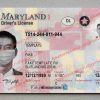 maryland driver license template