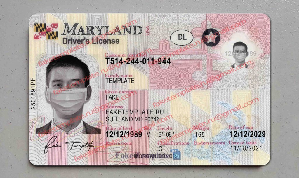 maryland driver license template