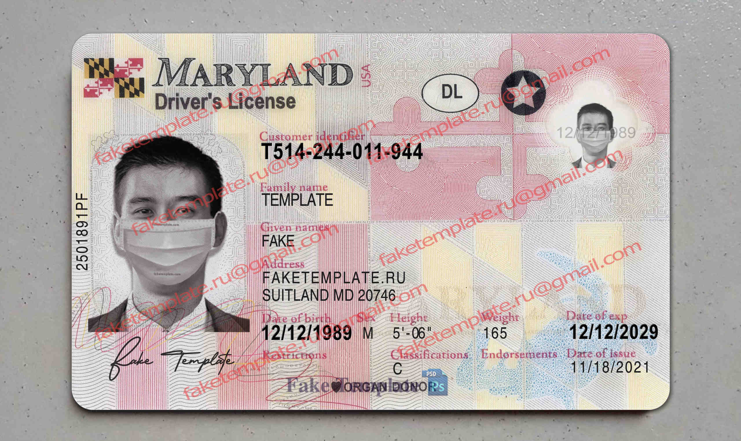 maryland driver license template maryland driver license template