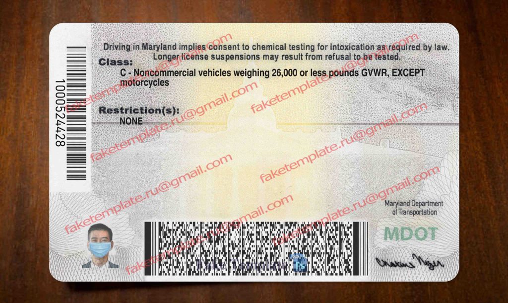maryland driver license back