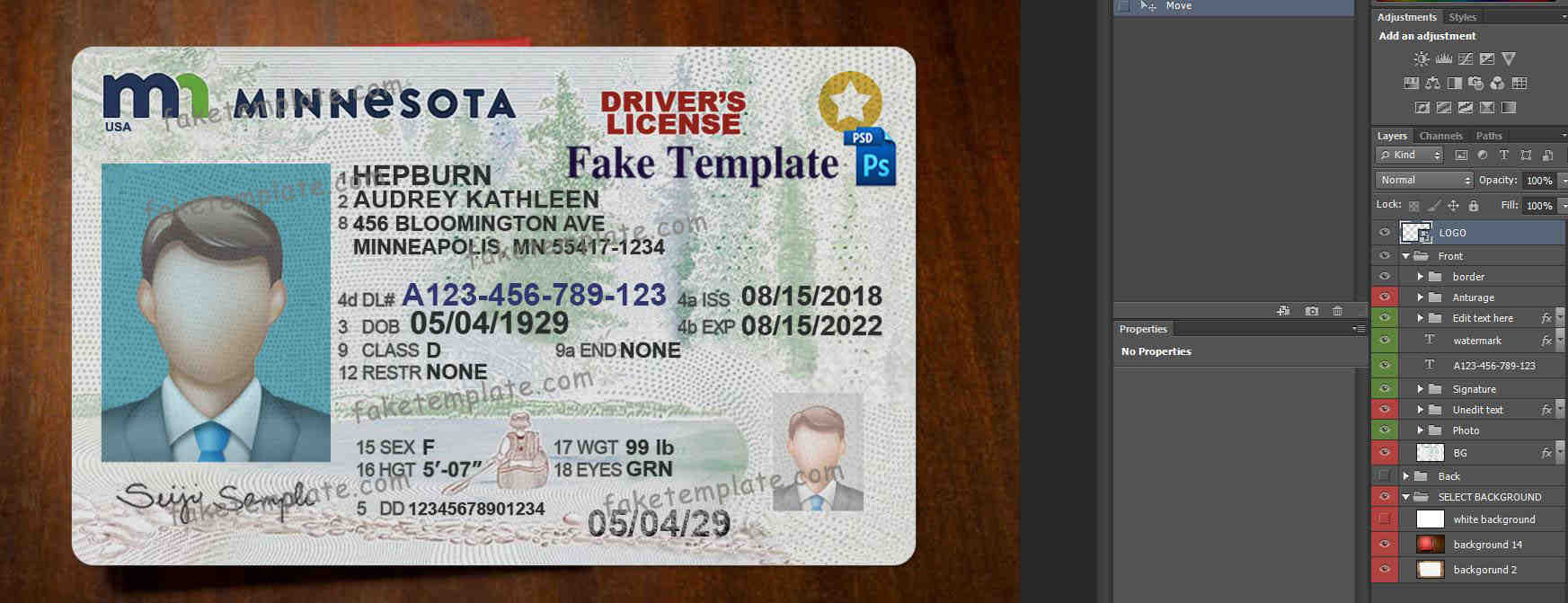 minnesota-drivers-license-template-02