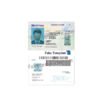 montana-driver-license-template-05