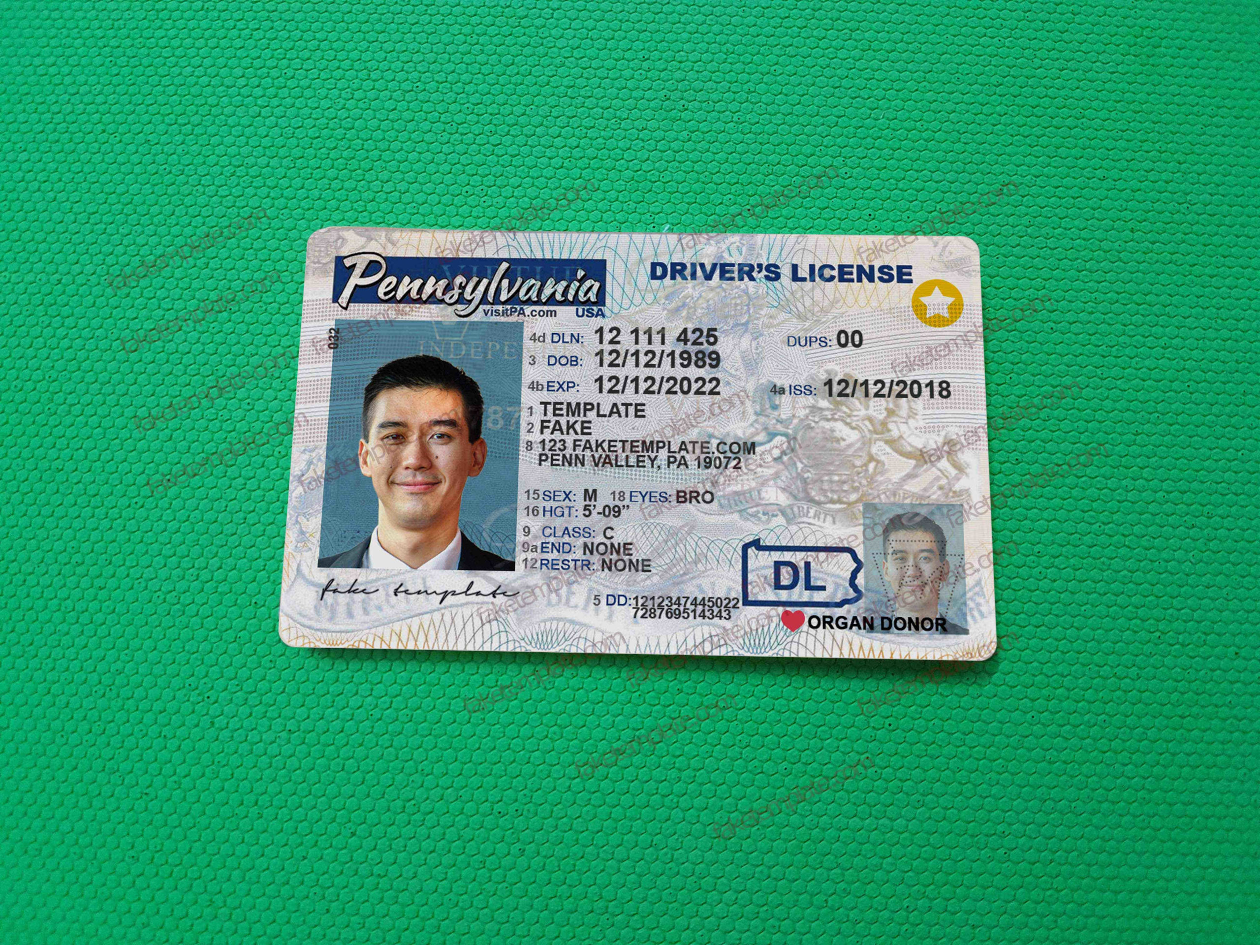 pennsylvania-drivers-license-template-08