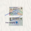 alaska-driver-license-template-04