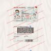 south carolina id template