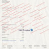 chime bank statement template
