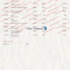 fake chime bank statement