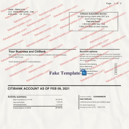 citibank statement template 01
