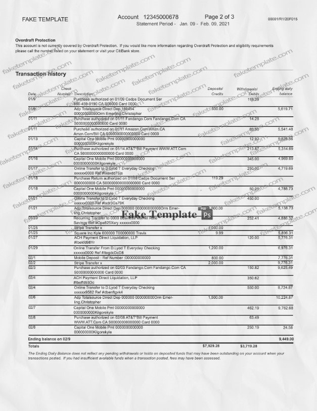 citibank-statement-template-03 citibank statement template 03
