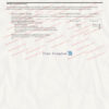 citibank statement template 04
