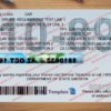 tasmania drivers license template