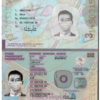 sweden passport template