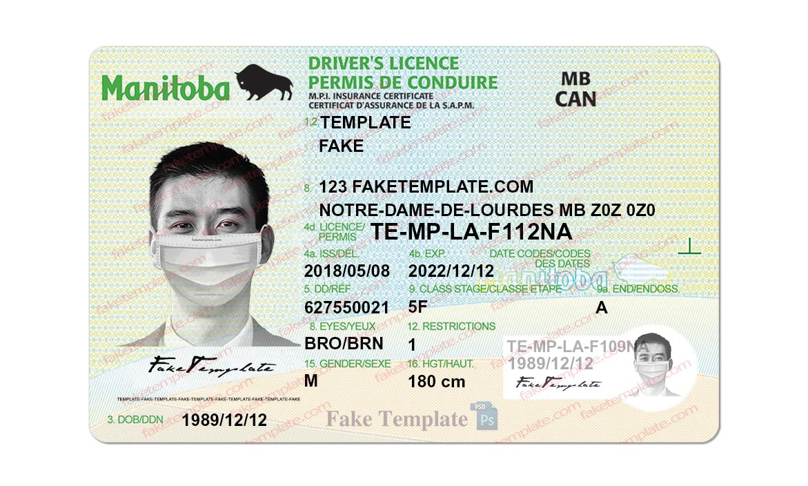 manitoba drivers license template
