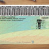 manitoba driver license template