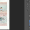 turkey passport template