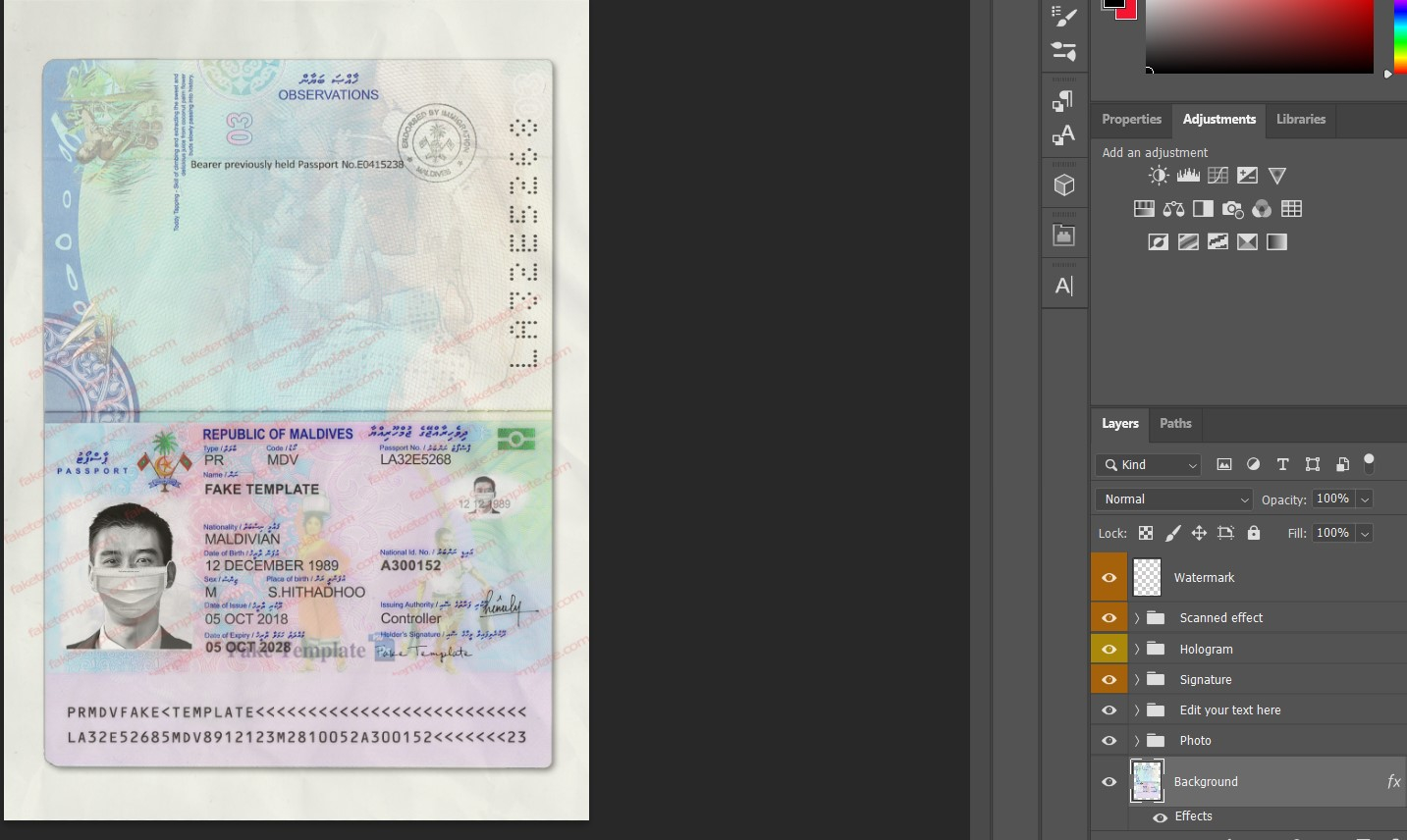 maldivian passport template