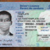 ontario drivers license template