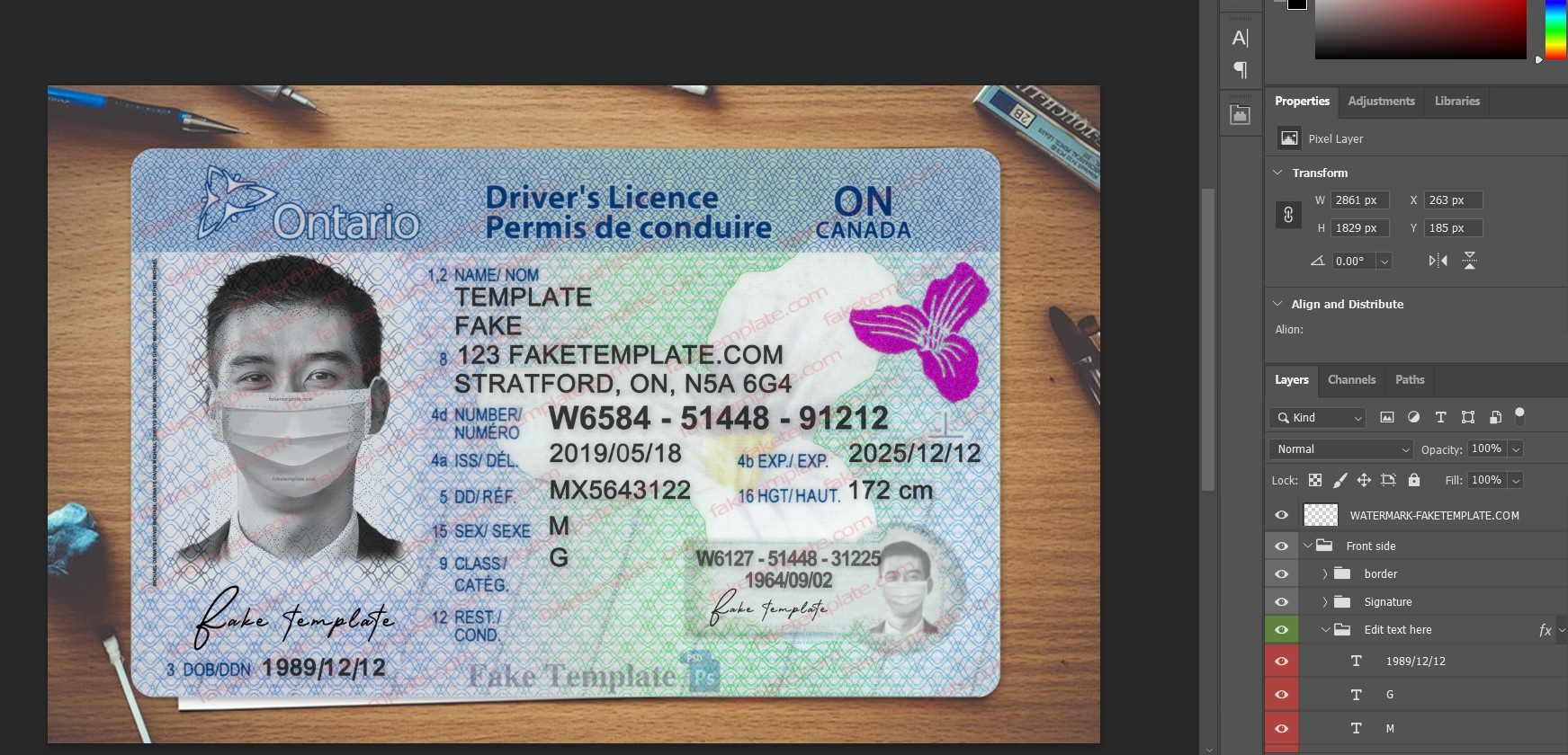 blank ontario driver license template