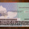 back ontario drivers license