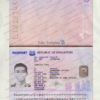 singapore passport psd free