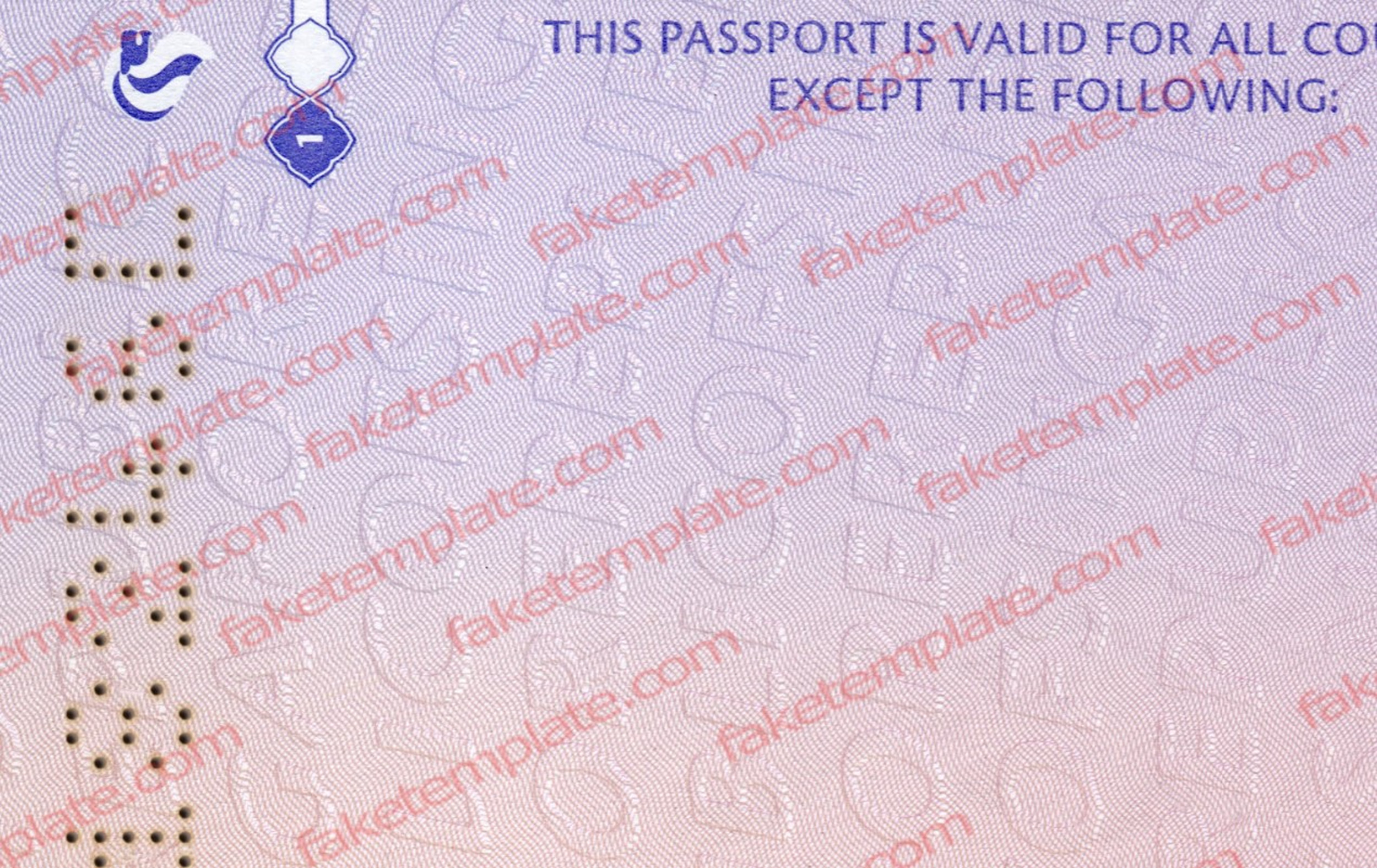 singapore passport photo template