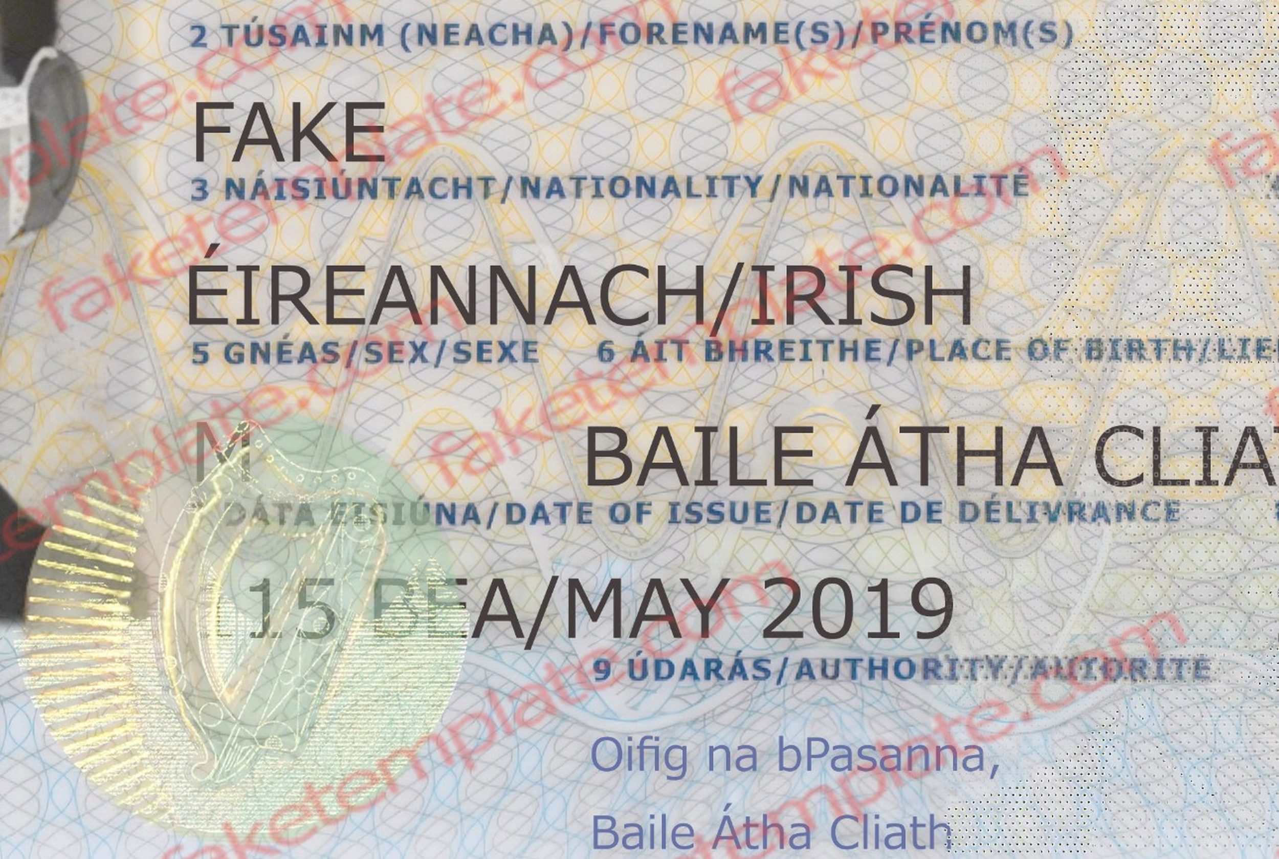 fake irish passport template