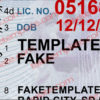 sd drivers license template