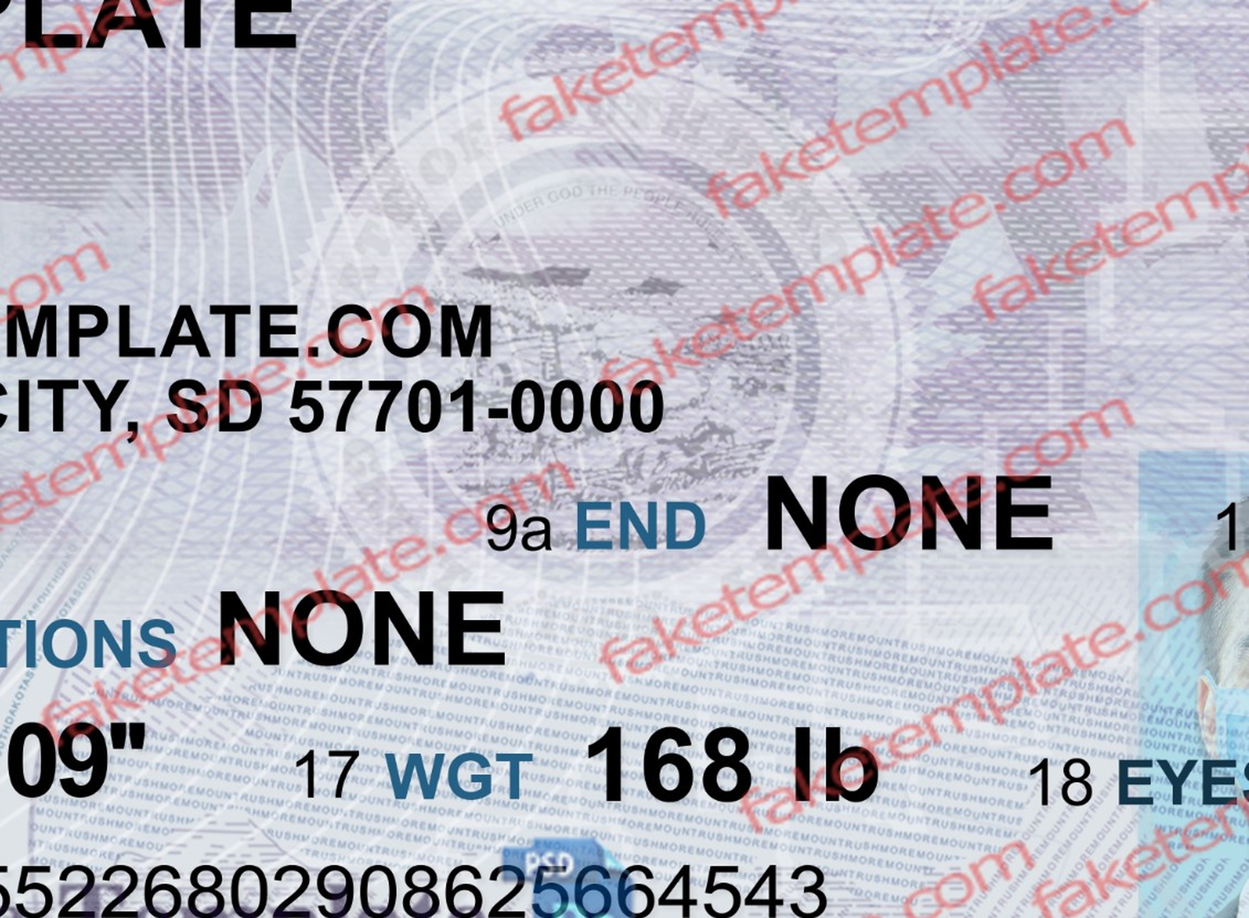 sd driver license sd drivers license psd