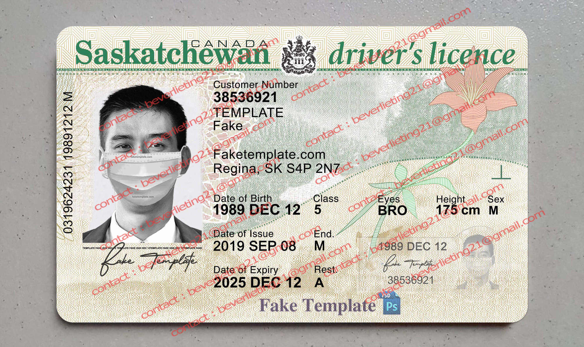 saskatchewan drivers license template