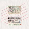 saskatchewan driver license template