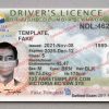 british columbia driver license template
