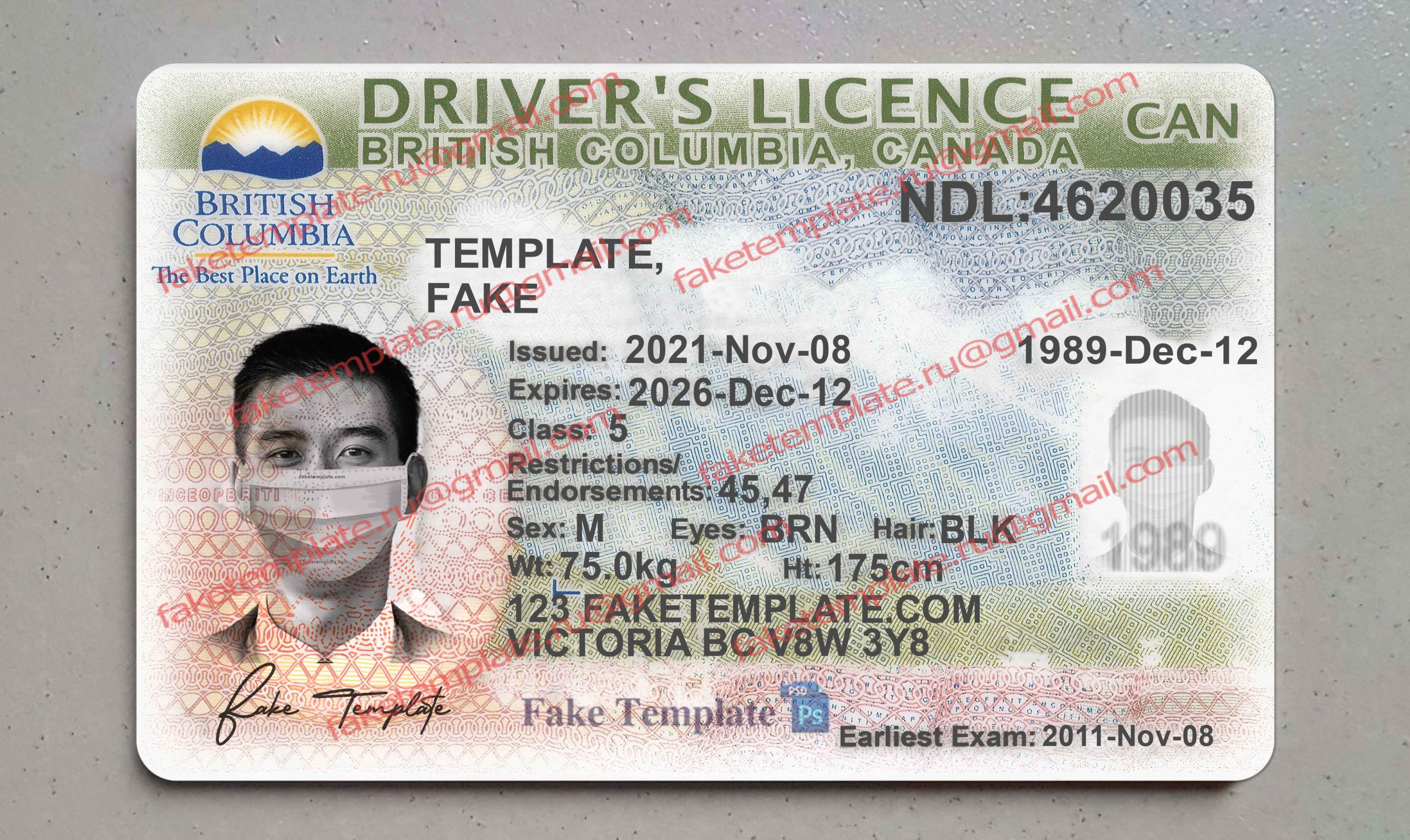 british columbia driver license template