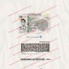 fake puerto rico driver's license