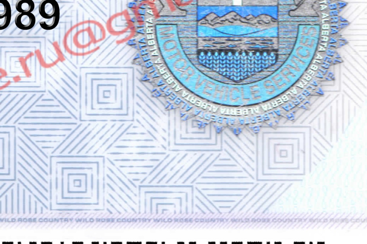 blank_alberta_drivers_license_template_03 ab driver license psd