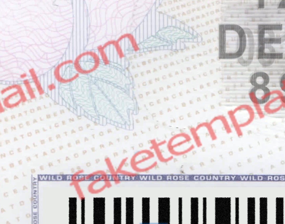 blank_alberta_drivers_license_template_05 blank alberta drivers license back